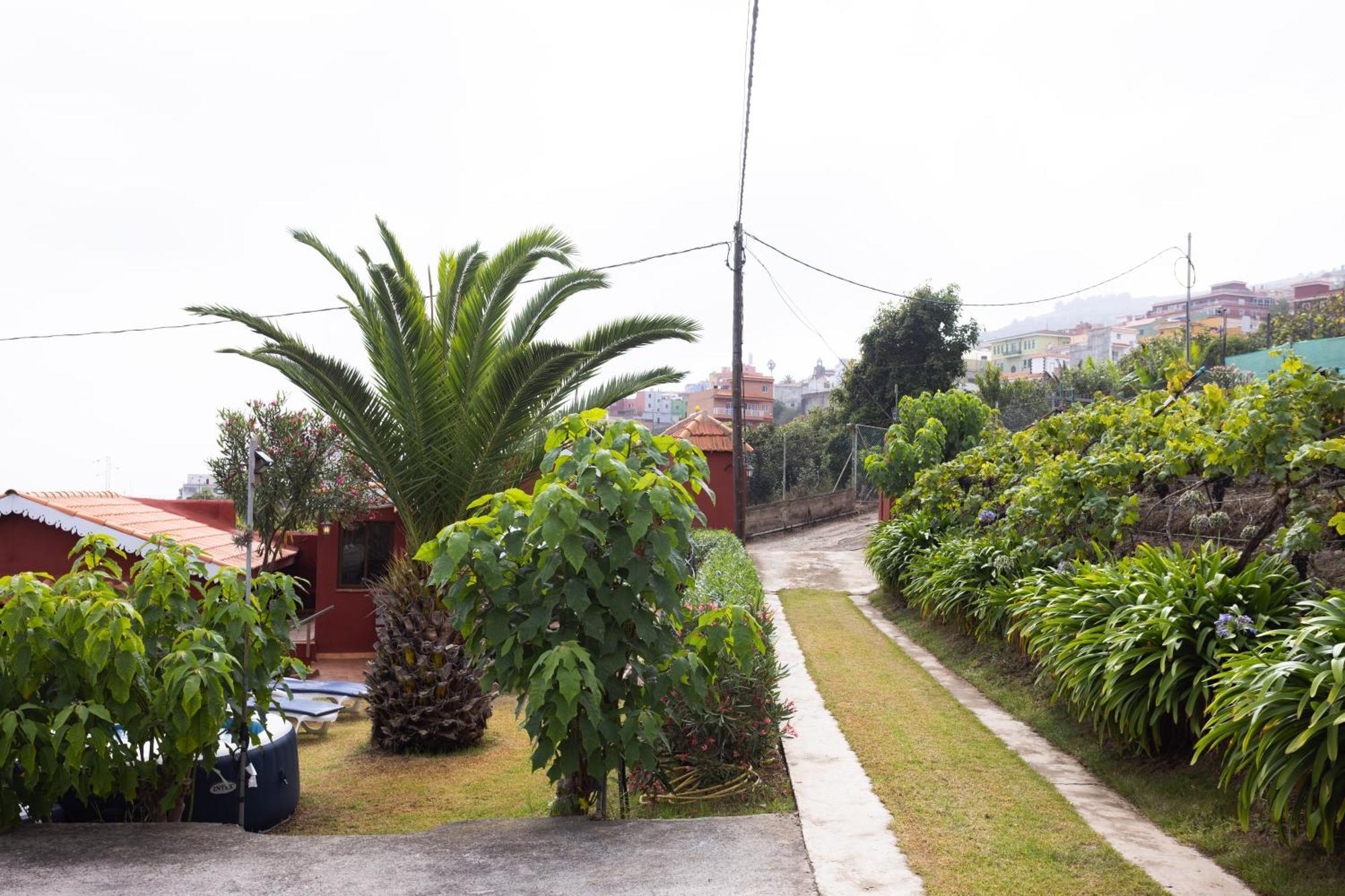 Home2Book Serene Retreat Isabel, Jacuzzi & Garden Icod el Alto Exterior photo